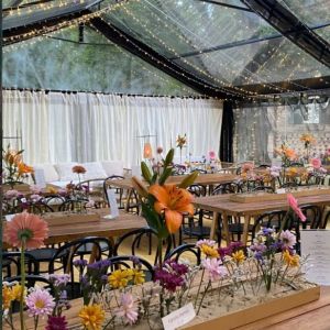 Carpa Cristal 8m